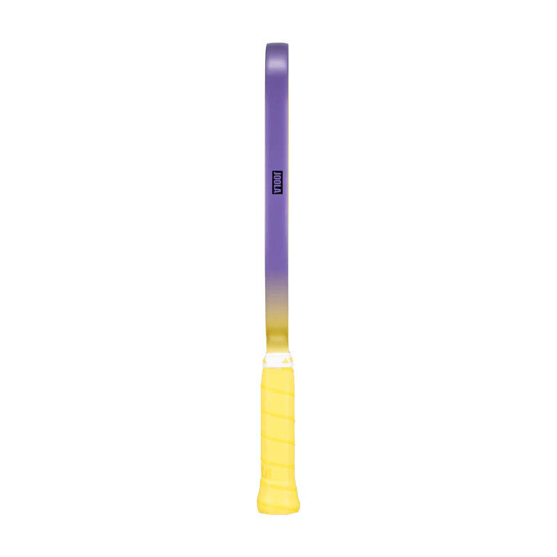 Joola raquette de pickleball Agassi Heat Vision 16